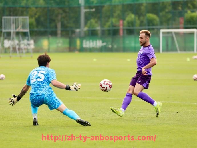 安博体育官网-法甲球队经济效益的分析及其对俱乐部发展的推动作用